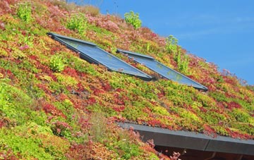 Hare Hatch living roof systems